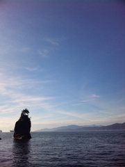 孤島