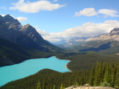 Peyto Lake