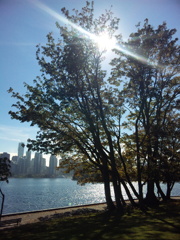 ヨセミテ in Canada