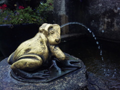Frog Fountain