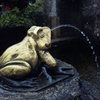 Frog Fountain