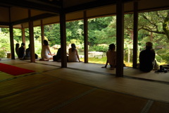 京都 青蓮院の庭園