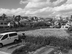 トーキョー都市