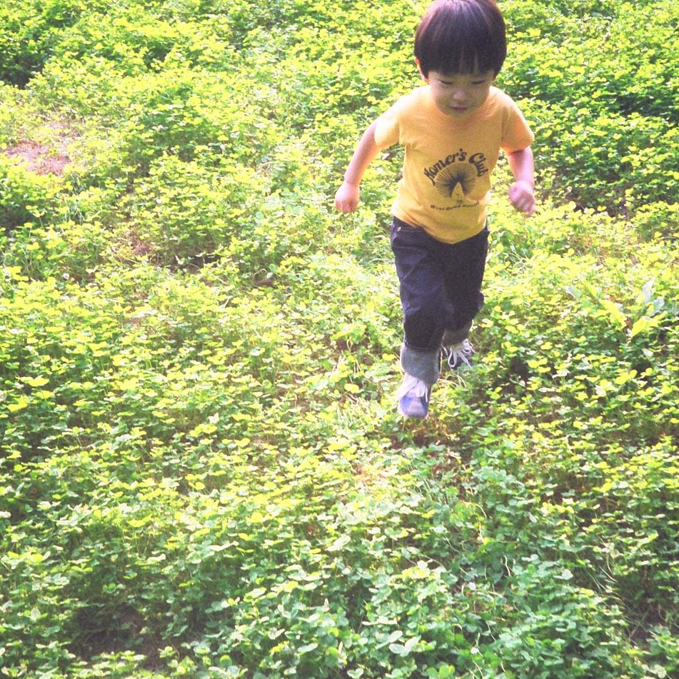 Green Field