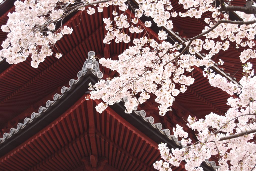 池上本門寺