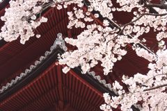 池上本門寺