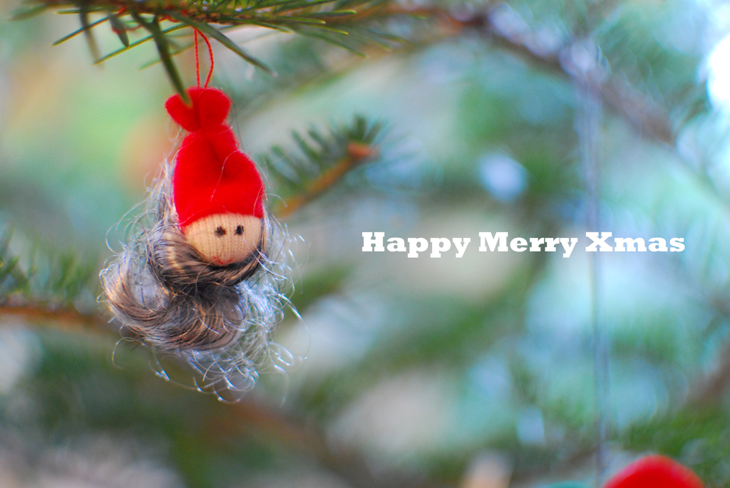 Happy Merry Xmas