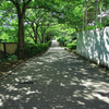 目黒川 緑道