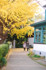 横浜山手