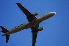 A320