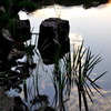 玄宮園にて