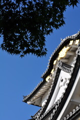 彦根城にて