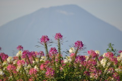 羊蹄山