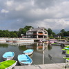 大沼公園にて