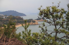 直島の海