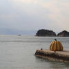 海の上の南瓜