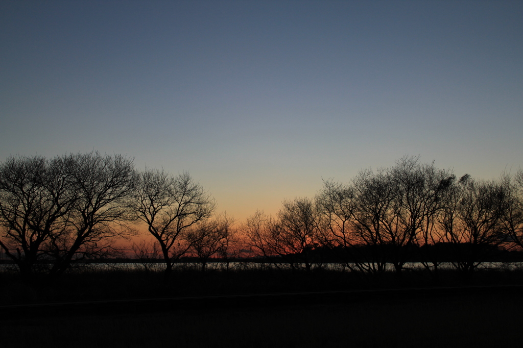 牛久沼の夕闇 (2)