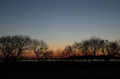 牛久沼の夕闇 (2)