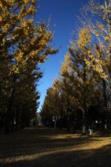 13_11 (8)