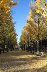 13_11 (9)