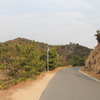 直島の道
