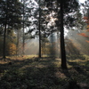 13_11 (4)