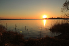牛久沼の夕闇 (1)
