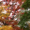 13_11 (1)