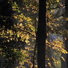 13_11 (2)