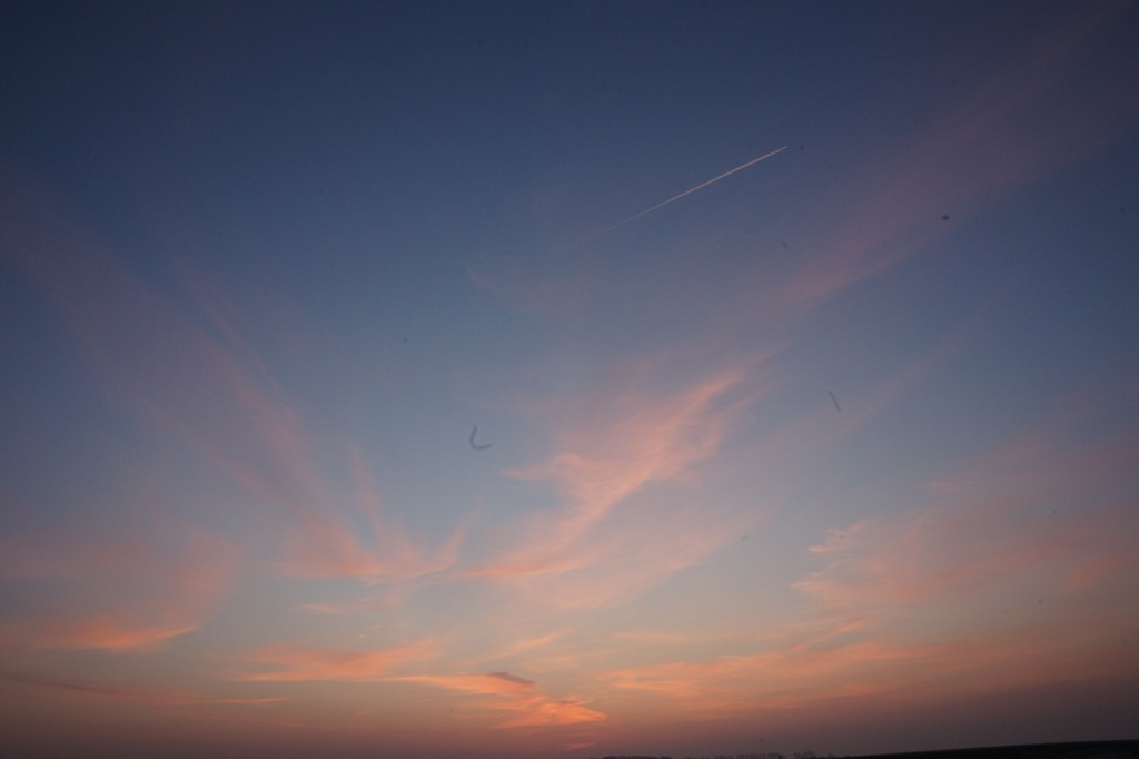DSC01194
