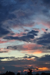 DSC_0596