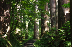 羽黒山の参道