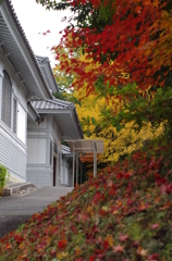 伊勢農業館前の秋