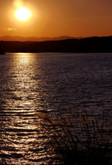 狭山湖　夕日