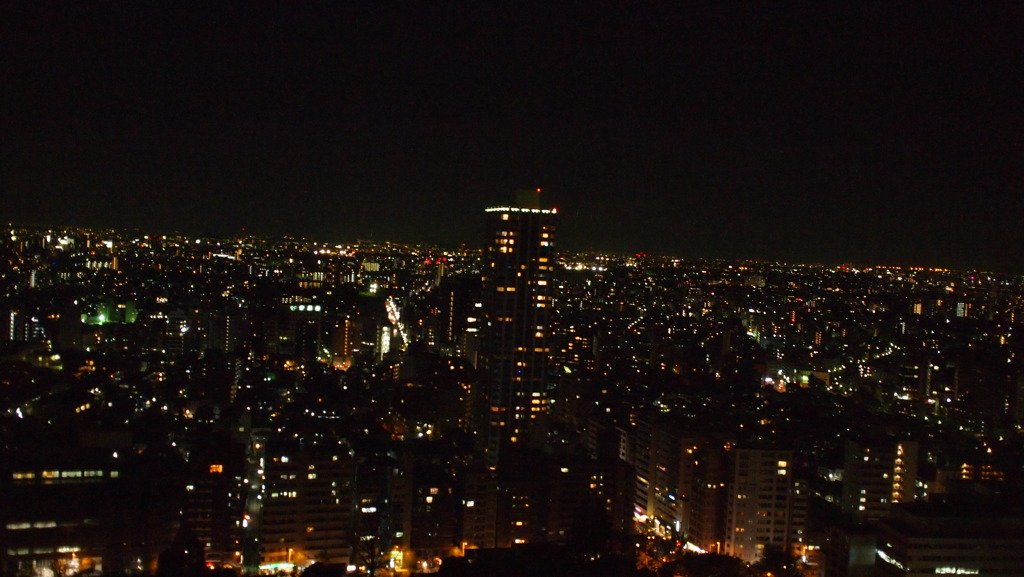 新宿で夜景