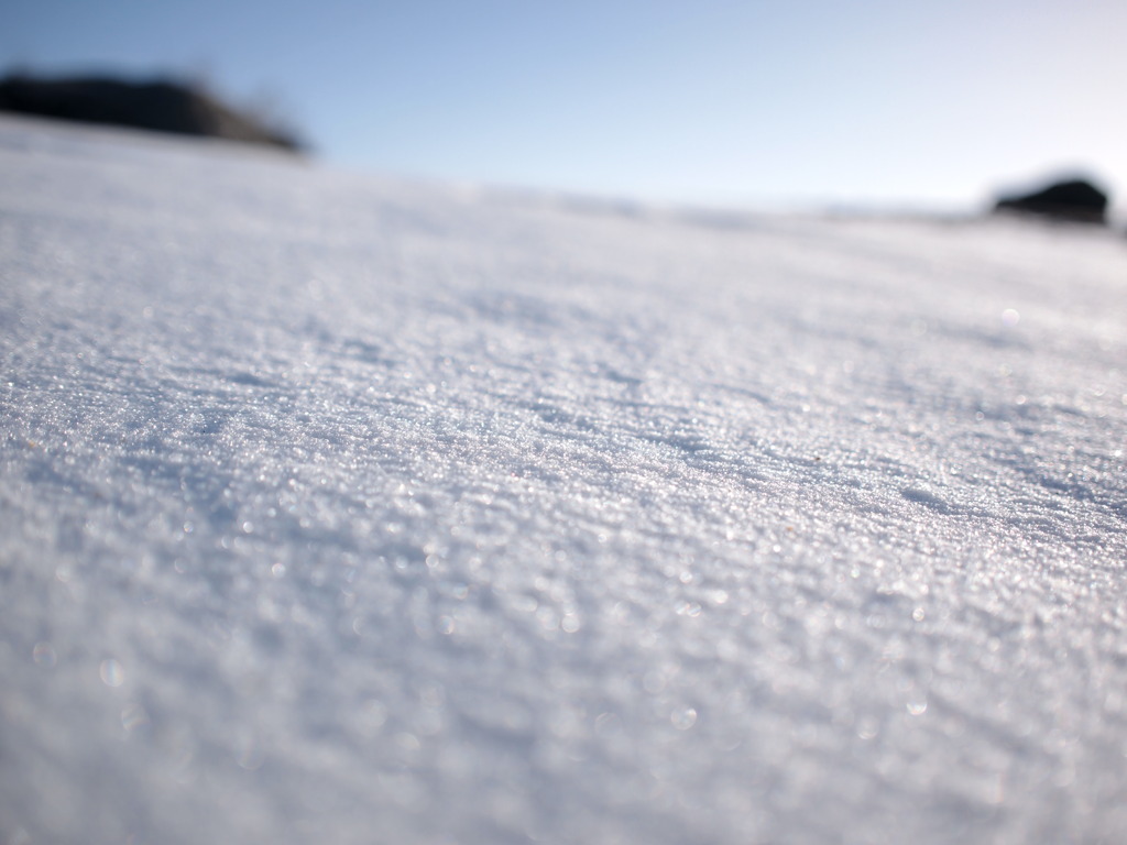 吹きさらしの雪
