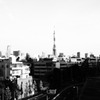 東京タワー　〜六本木ヒルズより〜