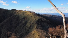 丹沢山へ続く尾根