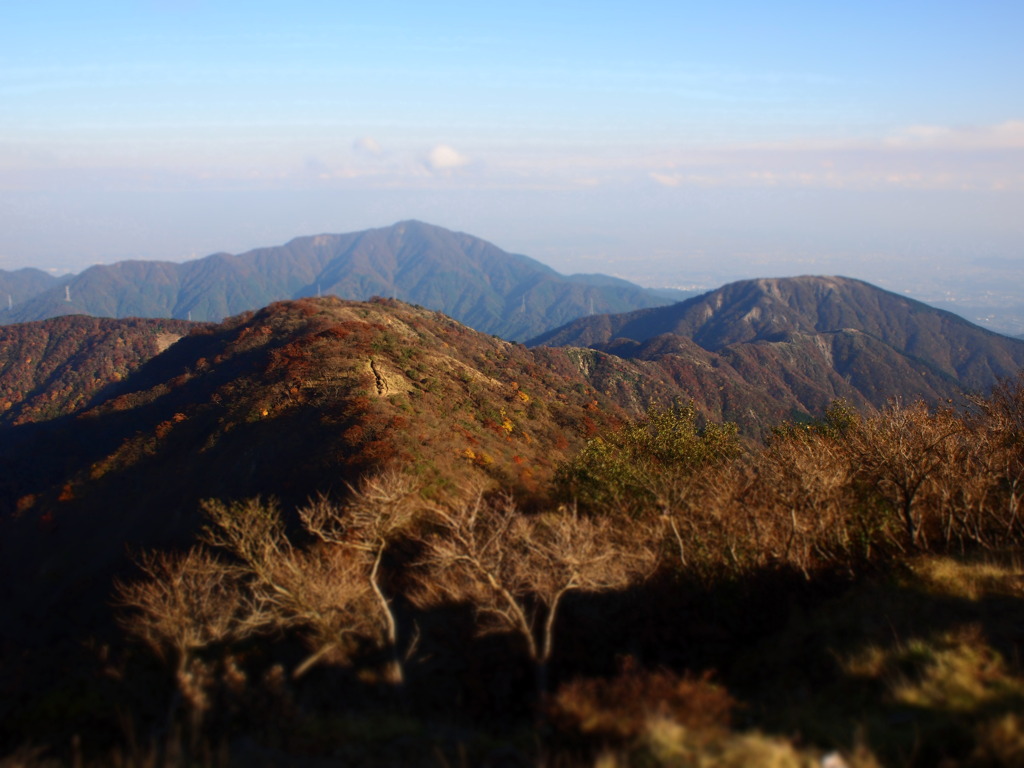 丹沢塔の岳頂上より
