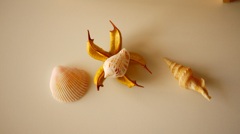 P1000997