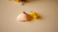 P1000993