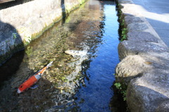 島原の名水