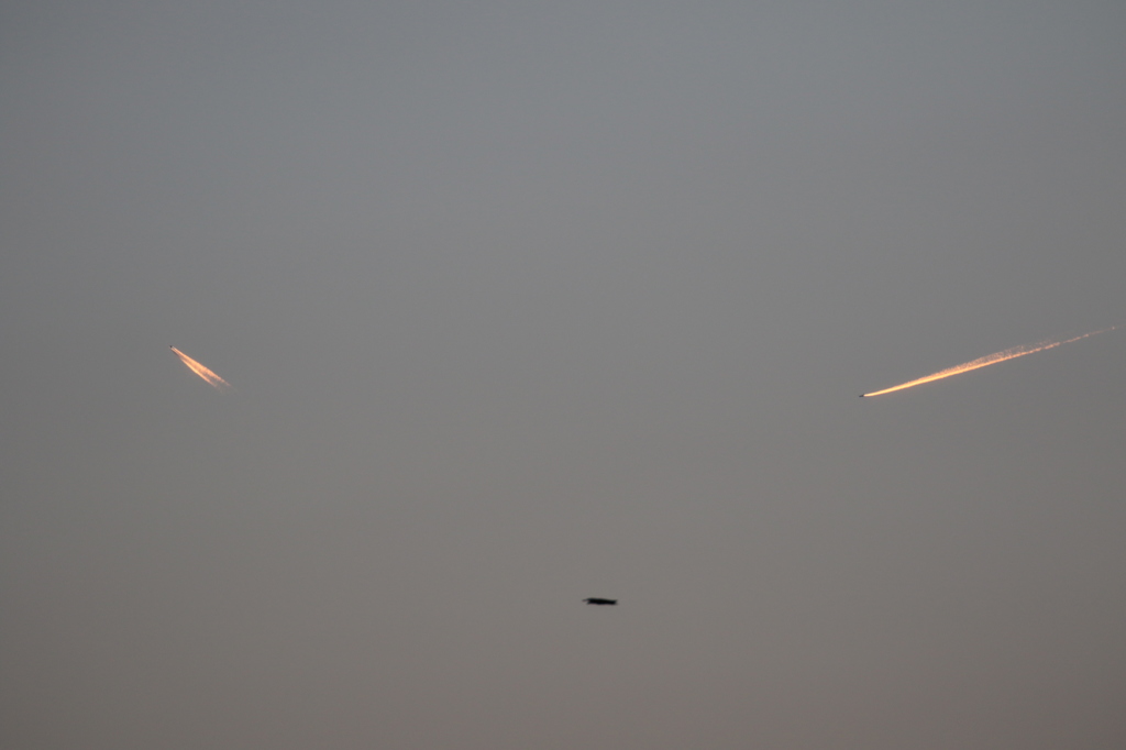 夕日に輝く飛行機雲