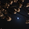 朧月