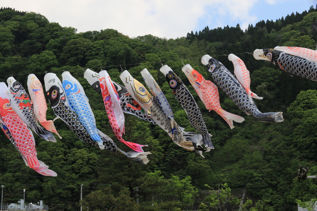 風に泳いで