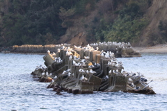 休憩所