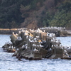 休憩所