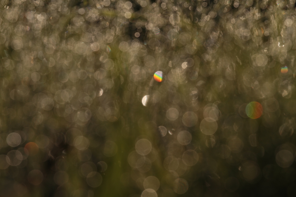 Rainbows