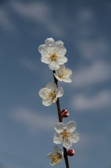 こっち向いて