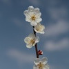 こっち向いて